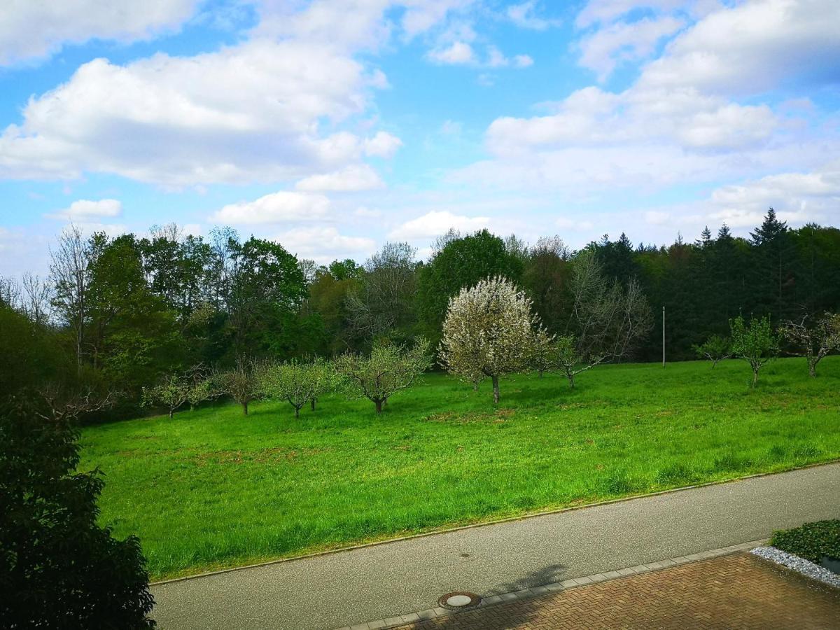 Ein Appartement Und Ein Komfortzimmer In Malsch, Zwischen Karlsruhe, Rastatt Und Baden-Baden Malsch  Екстер'єр фото